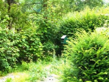Casa con giardino Precollina, collina - Altre fotografie