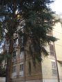 Casa Balduina
