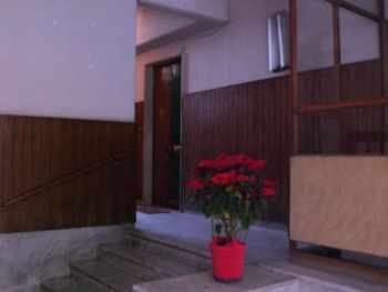Appartamento affitto Catania