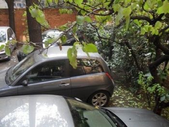 Appartamento con posto auto e giardino - Altre fotografie