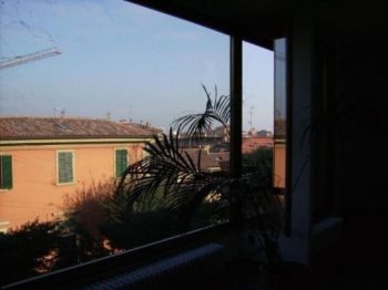 Appartamento affitto Bologna - Altre fotografie