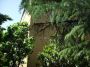 Appartamento studenti con balcone Malpighi