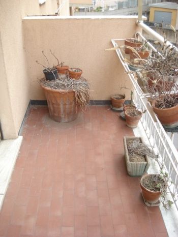 Appartamento con balcone Boccadasse - sturla