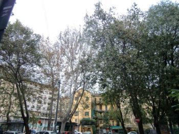 Casa con aria condizionata Centro storico - Altre fotografie