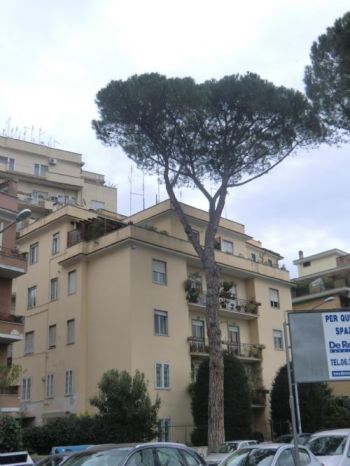 Appartamento arredato con aria condizionata - Altre fotografie