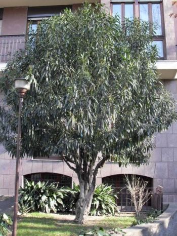 Bilocale arredato con giardino P.ta venezia - Altre fotografie