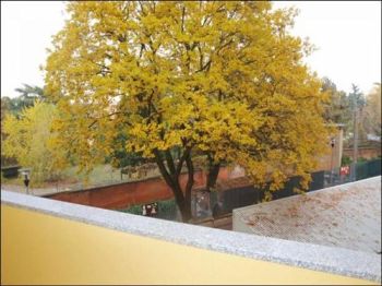 Casa nuova costruzione San ruffillo - Altre fotografie