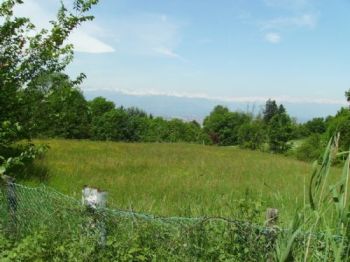 Monolocale arredato Borgo po - Altre fotografie