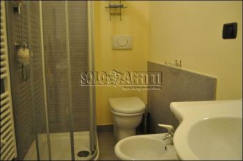 Monolocale arredato Olivette