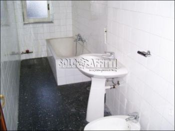 Appartamento affitto Torino