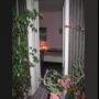 Casa arredata con balcone Tomba di nerone