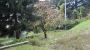 Appartamento con giardino Concesio