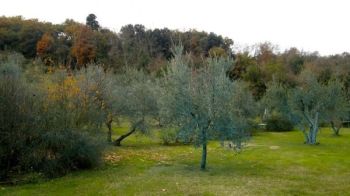 Loft con giardino e posto auto Gavinana e galluzzo - Altre fotografie