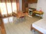 Appartamento arredato con terrazzo Greco , monza ,