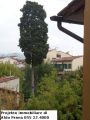 Appartamento con terrazzo Rifredi