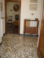 Appartamento arredato con terrazzo Colli