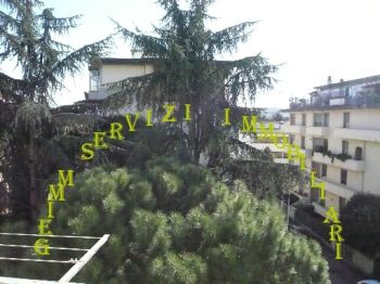 Appartamento affitto Firenze - Altre fotografie