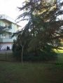 Bilocale con posto auto e giardino Pisa