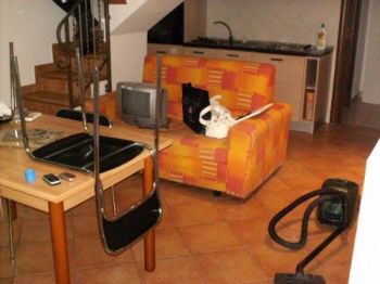Bilocale arredato Catania - Altre fotografie