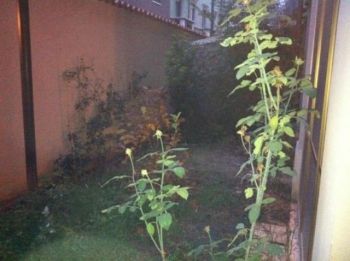 Bilocale nuova costruzione con garage - Altre fotografie