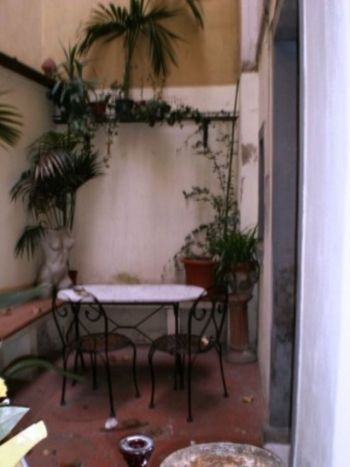 Appartamento affitto Firenze - Altre fotografie