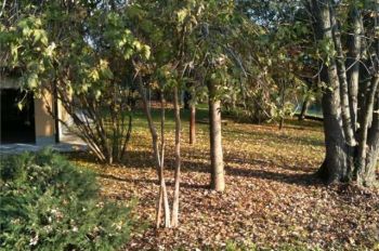 Villa nuova costruzione con garage Fidenza