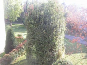 Appartamento arredato con garage Gorle - Altre fotografie