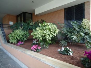 Appartamento arredato con terrazzo Infernetto, axa, casal palocco, madonnetta a roma - Altre fotografie