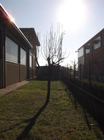 Casa con posto auto Azzano san paolo - Altre fotografie