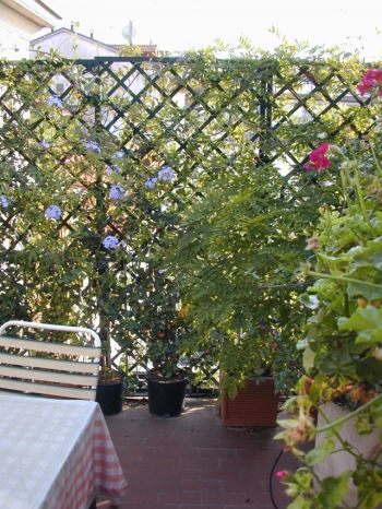 Terrazzo area Garibaldi - Terrazza