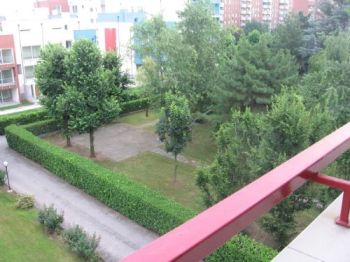 Trilocale arredato con terrazzo Cologno Monzese - Altre fotografie