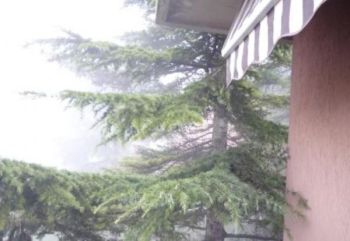 Appartamento con balcone e garage Salsomaggiore Terme - Altre fotografie