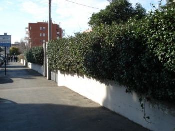 Casa arredata con terrazzo Tuscolano, don bosco, cinecitt� - Altre fotografie