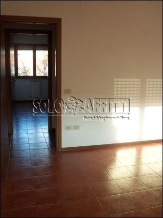 Appartamento affitto Firenze