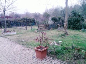 Appartamento affitto Viterbo