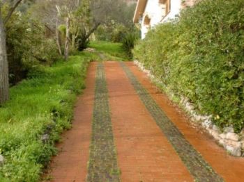 Villa arredata con giardino Santa Flavia - Altre fotografie