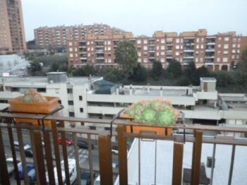 Trilocale arredato con balcone Massimina, tredicesimo, casal lumbroso - Altre fotografie