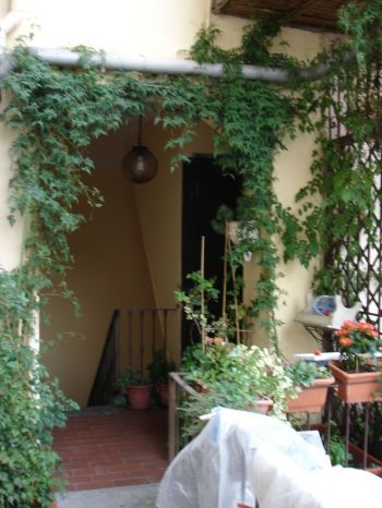 Bilocale zona Lungo po Antonelli - Balcone