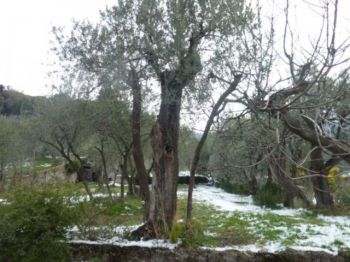 Appartamento con giardino Quarto - Altre fotografie
