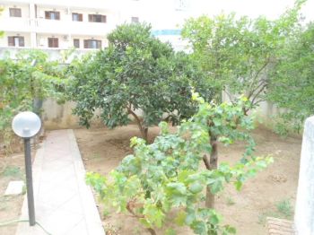Appartamento 110mq 3 letto giardino box - Giardino