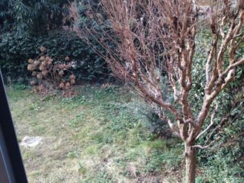 Appartamento arredato con garage Certosa, quarto oggiaro, villa pizzone - Altre fotografie