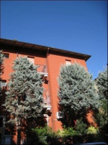 Appartamento affitto Bologna - Altre fotografie