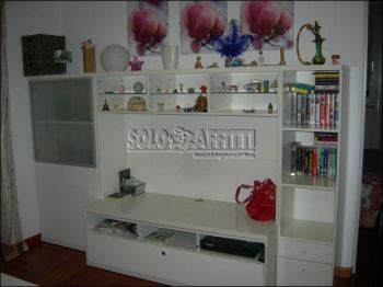 Trilocale arredato con balcone Mirafiori sud