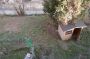 Appartamento con giardino Pontedecimo