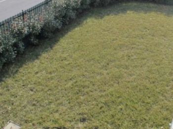 Appartamento con balcone e giardino - Altre fotografie
