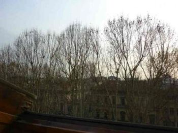 Attico arredato con balcone Centro - Altre fotografie
