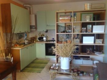 Monolocale arredato con terrazzo Noceto - Altre fotografie
