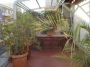 Appartamento De angeli, vercelli, washinghton