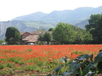 Appartamento con posto auto Loc. sperticano - Scala