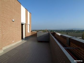 Attico affitto Bologna